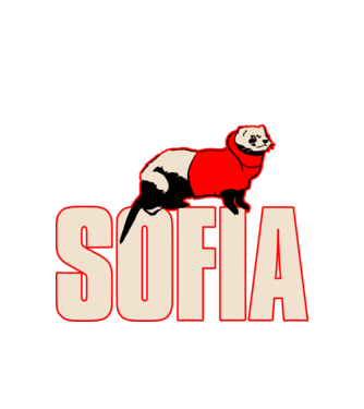 sofia la casa de papel model alb pe tricou