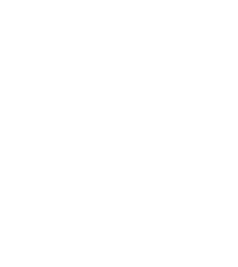 demodog logo model negru pe tricou