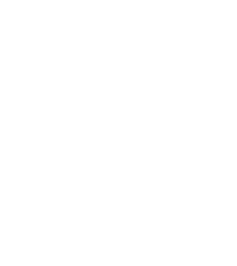 Crazy Cat Ladies are born in December model negru pe tricou