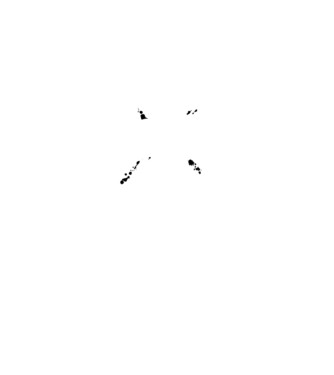 I survived the battle of the bastards model albastru închis pe tricou
