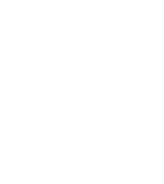 Crazy Cat Ladies are born in November model negru pe tricou