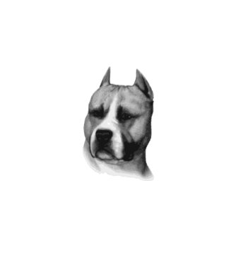 Staffordshire Terrier model alb pe tricou