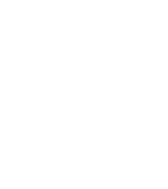 Crazy Cat Ladies are born in December model negru pe tricou
