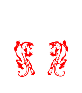 Aikido 2 model negru pe tricou