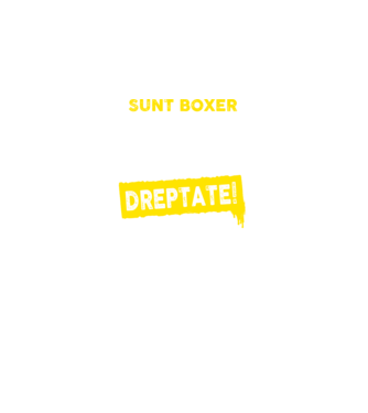 sunt boxer - pentru a economisi timp, să reținem că am întotdeauna dreptate model negru pe tricou