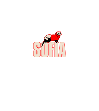 sofia la casa de papel model negru pe tricou
