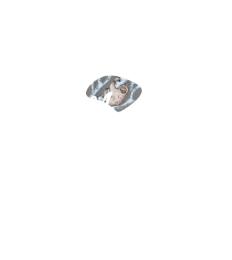 what does the sloth say model turcoaz pe tricou