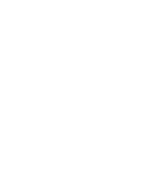 Așa arată un stăpân de Havanese foarte chipeș model negru pe tricou