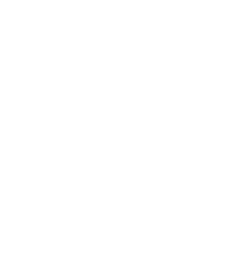 EarthLogo model negru pe tricou
