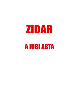 Sunt suficient de priceput pentru a fi ZIDAR și suficient de nebun pentru a iubi asta model negru pe tricou