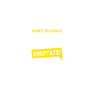 Sunt zugrav, pentru a economisi timp, să reținem că am întotdeauna dreptate! model negru pe tricou