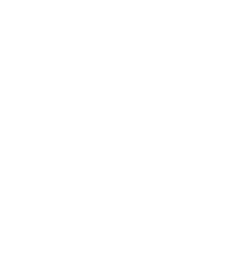 Crazy Cat Ladies are born in November model negru pe tricou