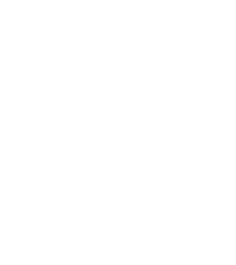 Așa arată un HOCHEIST foarte chipeș model negru pe tricou