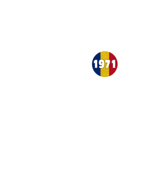 made in 1971 retro vintage model negru pe tricou