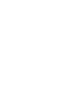 Nimeni nu e perfect, dar zidarii sunt foarte aproape model negru pe tricou