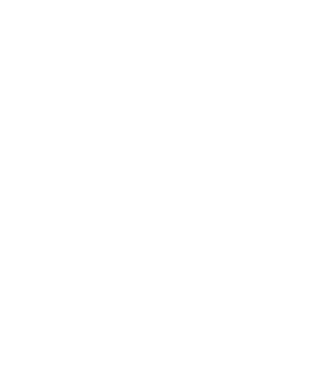 LOVE Border Collie model negru pe tricou