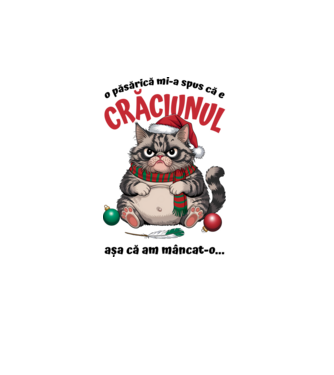 Am mâncat pasărea Crăciun pisică Alb model alb pe tricou