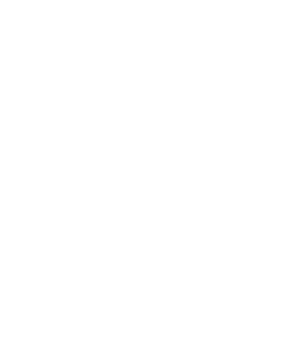 Mr. model negru pe tricou