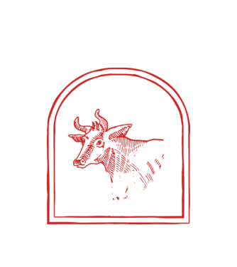 Festival BBQ - cu tata în grădina din spate! model alb pe tricou
