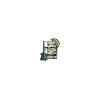Let the fun be gin model negru pe tricou