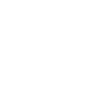 Crazy Cat Ladies are born in December model negru pe tricou