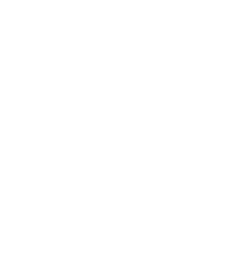 LOVE Havanese model negru pe tricou