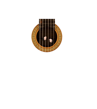 Guitar prison model negru pe tricou