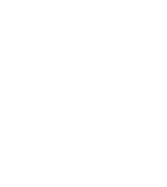 Box evolution model negru pe tricou