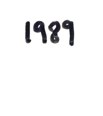 Taylor Swift 1989 text model alb pe tricou