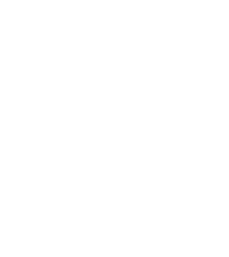 Freedom model turcoaz pe tricou