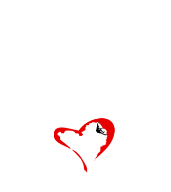 heartclimb model alb pe tricou