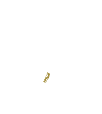 King in the north 2c model negru pe tricou