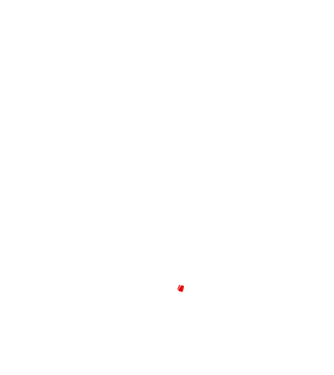 godfather cu trandafir model negru pe tricou