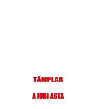 Sunt suficient de priceput pentru a fi TÂMPLAR și suficient de nebun pentru a iubi asta model negru pe tricou