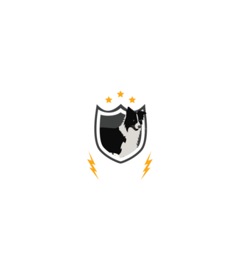 serviciu de securitate - securitate - persistență - 24 de ore pe zi model negru pe tricou