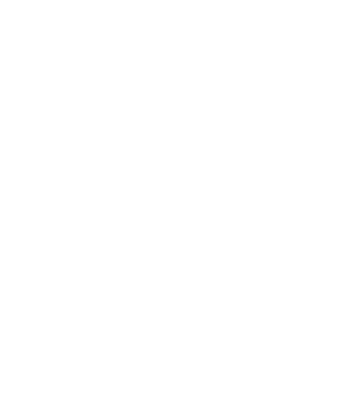 Așa arată un APICULTOR foarte chipeș model negru pe tricou