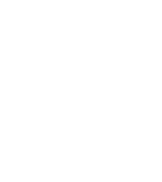 Crazy Cat Ladies are born in June model negru pe tricou