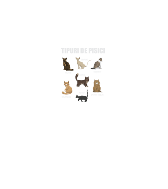 Tipuri de pisici model negru pe tricou