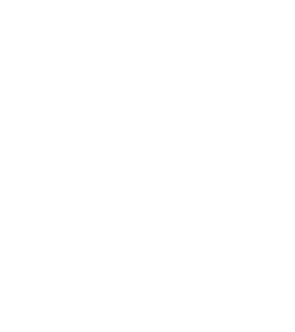 Regele - ceaunului! model negru pe tricou