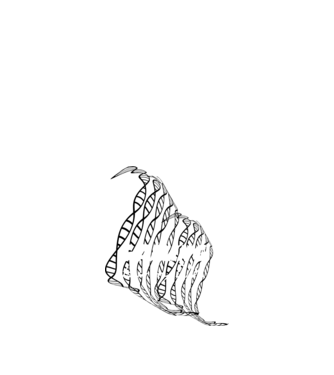 Gamer DNA model roșu pe tricou
