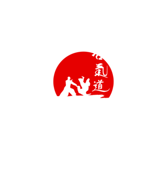 Aikido model negru pe tricou