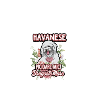 havanese : picioare mici dragoste mare model alb pe tricou