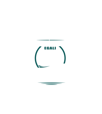 toți se nasc egali, dar numai cei mai buni devin boxeri model negru pe tricou
