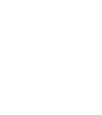 Bunicdidas model alb pe tricou