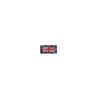 UNITED KINGDOM model negru pe tricou