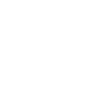 Mr 1 model negru pe tricou