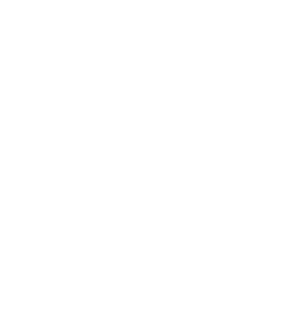 All men are created equal but only the best are born in november model negru pe tricou