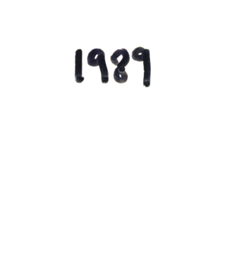 Taylor Swift 1989 text model alb pe tricou