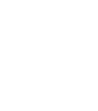 Camion 2. model alb pe tricou