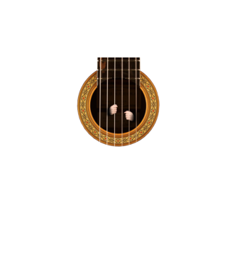 Guitar prison model negru pe tricou